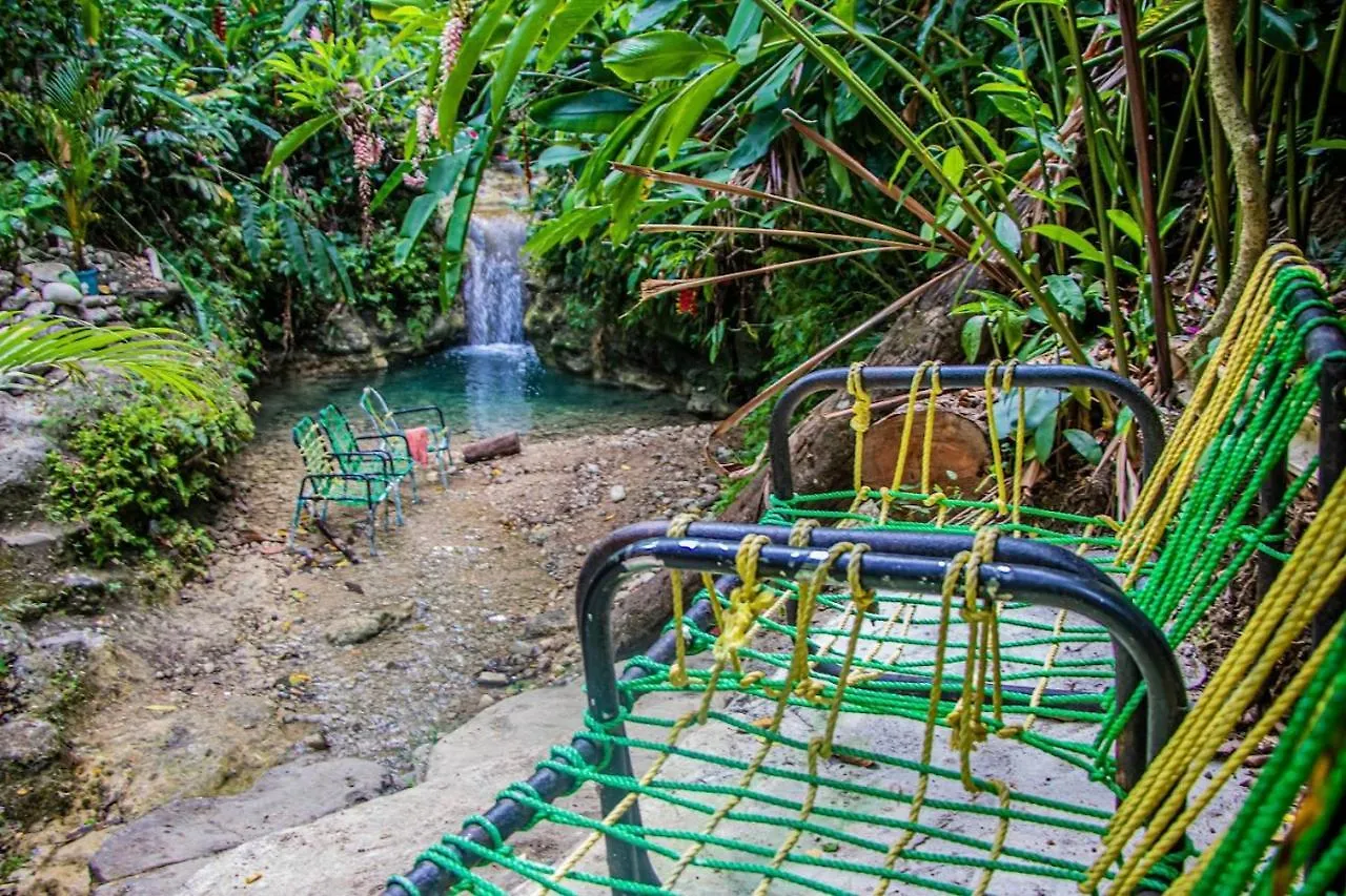 The Hamilton'S Nature Villa Clarks Town  Clarks Town (Saint Ann)