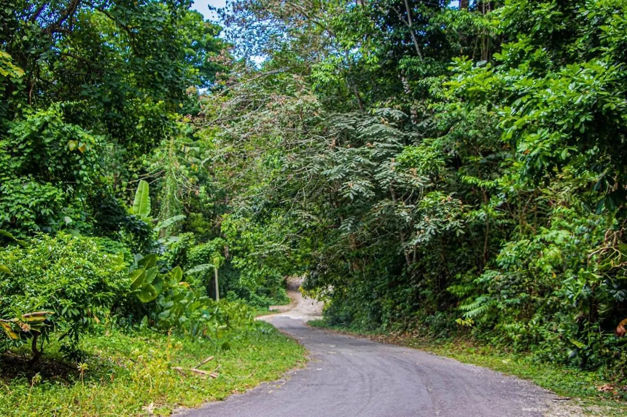 The Hamilton'S Nature Villa Clarks Town   Clarks Town (Saint Ann)