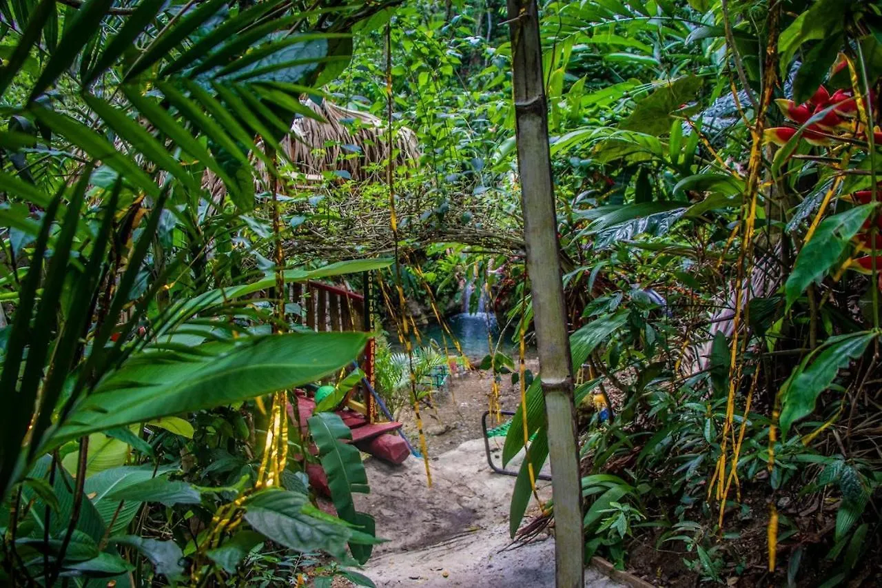The Hamilton'S Nature Villa Clarks Town